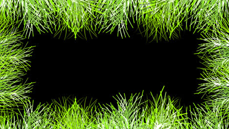 summer-leaf-grass-frame-loop-Animation-video-transparent-background-with-alpha-channel